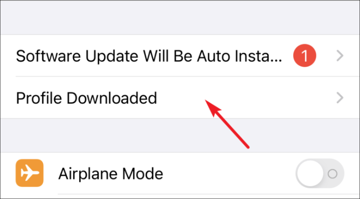 Klicken Sie auf das heruntergeladene Profil, um das Beta-Profil von iOS 15 zu installieren