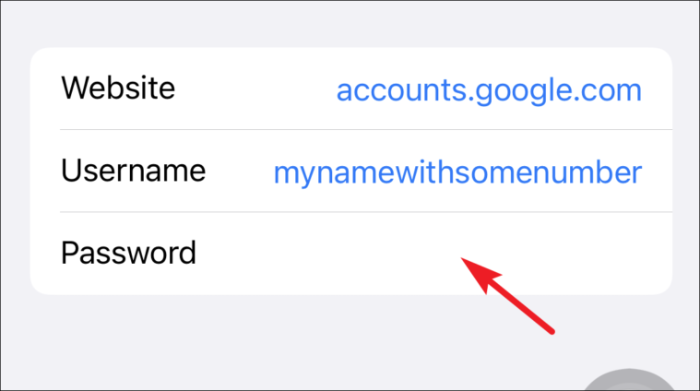 Geben Sie Passwörter aus dem iCloud-Schlüsselbund vom iPhone ein