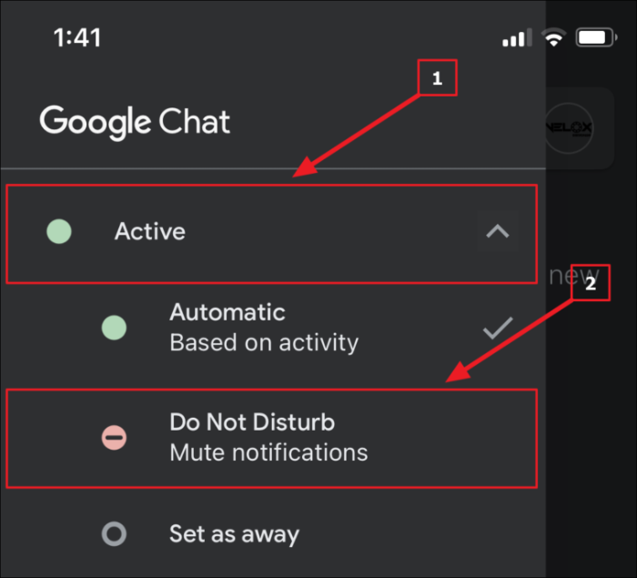 Google Chat in iOS