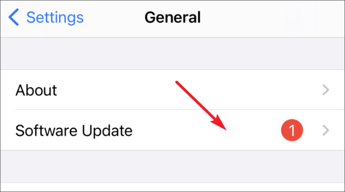 докоснете актуализация на софтуера, за да намерите iOS 15 beta