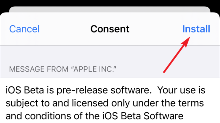 Zustimmung zum Herunterladen und Installieren von iOS 15 Beta