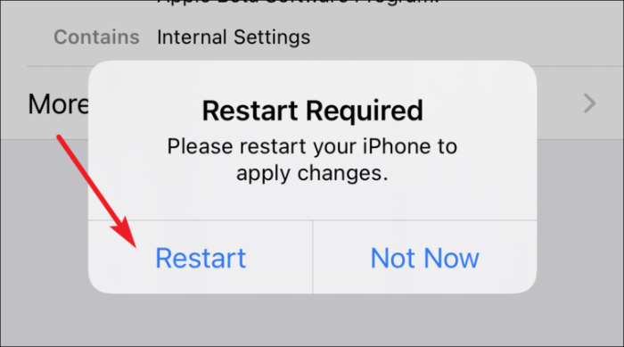 рестартирайте, за да инсталирате бета профил на iOS 15