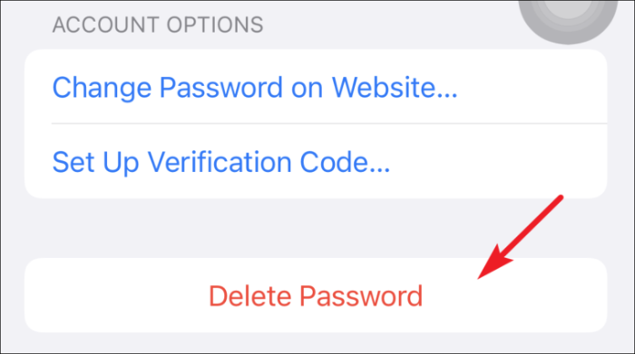 Tippen Sie auf gespeicherte Passwörter aus dem iCloud-Schlüsselbund vom iPhone löschen