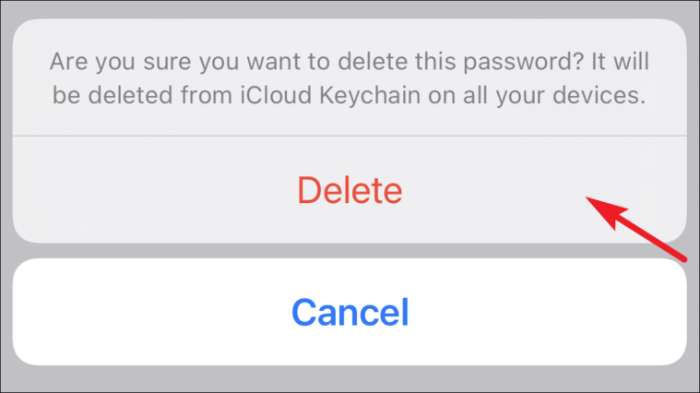 Bestätigen Sie das Löschen gespeicherter Passwörter aus dem iCloud-Schlüsselbund vom iPhone