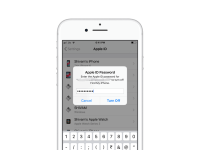 Deaktivieren Sie Mein iPhone suchen Abmelden Apple ID iPhone-Einstellungen
