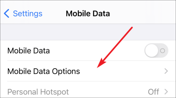 Tippen Sie auf mobile Datenoptionen